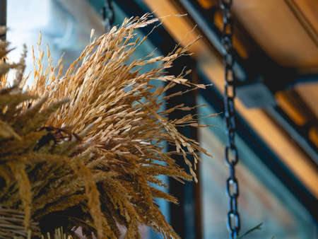 Dried flowers in a cafeの写真素材