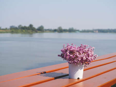 Pink flowers placed by the river