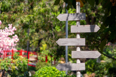 Utaradit Thailand - Feb 18 2023:  The atmosphere of a cafe decorated in a Japanese style.の写真素材