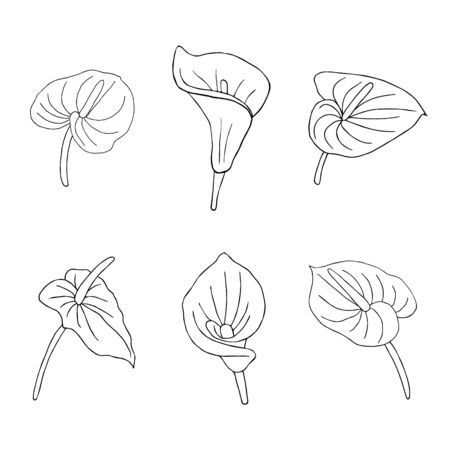 Set of doodle flower. Hand drawn jungle flower anthurium on a white background. Decorative vector exotic tropical element for invitations cards, textile, print and designのイラスト素材