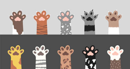 Fluffy cat paws collection. Set of various cute kitten foot silhouettes isolated on gray and white background. Animals and pets concept. Vector illustration in cartoon style.のイラスト素材