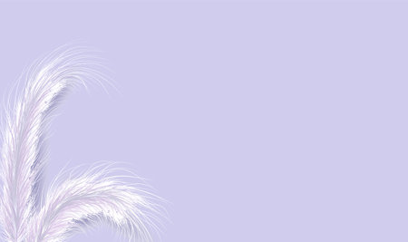 Dried natural pampas grass on violet background. Floral ornament elements in boho style. Vector illustration of cortaderia selloana. New trendy home decor. Flat lay, copy space, top viewのイラスト素材