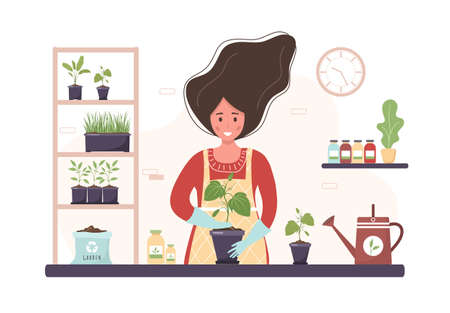 Planting at home. Cartoon woman replanting seedlings in orangery. Gardening hobby. Vector...