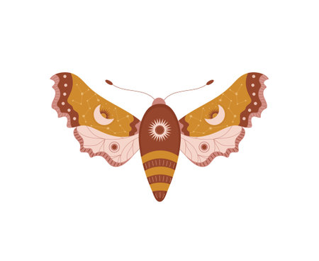 Boho butterfly. Insect with celestial elements. Witch and magic symbol. Abstract hand drawn moth. Vector illustration in bohemian styleのイラスト素材