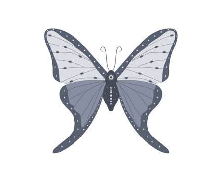 Boho butterfly. Insect with celestial elements. Witch and magic symbol. Abstract hand drawn moth. Vector illustration in bohemian styleのイラスト素材