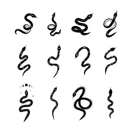 Magic snake in boho style with moon. Collection of mystical symbol in a trendy minimalist style. Esoteric vector illustrationのイラスト素材