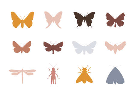 Butterfly silhouette collection in bohemian style. Hand drawn moth, dragonfly, bee and grasshopper. Isolated boho clipart. Vintage celestial design. Folk vector illustrationのイラスト素材