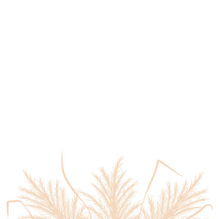 Dry pampas grass. Floral border frame design. Tan cortaderia in boho style. Vector dried flowers isolated on white background. Trendy template for invitations, postcards, social mediaのイラスト素材