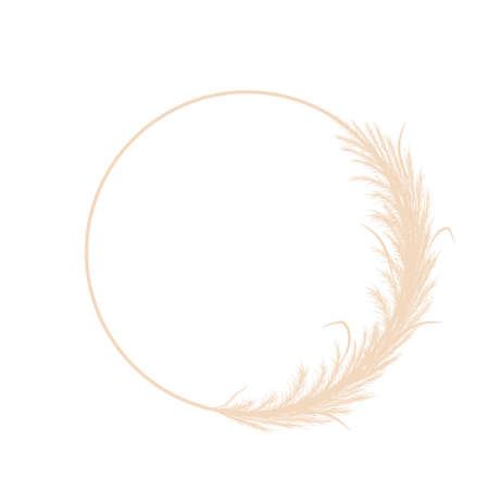 Circle frame with dry pampas grass. Wreath of beige cortaderia in boho style. Vector dried flowers isolated on white background. Trendy element design for invitations, postcards, social mediaのイラスト素材