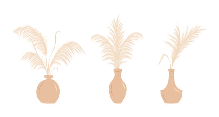 Dry pampas grass in vases. Set of cortaderia arrangements in boho style. Vector dried flowers isolated on white background. Trendy element design for wedding invitations, postcards, home interiorのイラスト素材