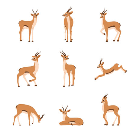 Elegant african antelope. Set of gazelles with horns on white background. Mammal animal. Vector illustration in flat cartoon styleのイラスト素材