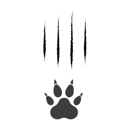 Cat scratch. Black bloody animal claw mark isolated on white background. Lion or tiger flat scratch marks. Black cat foot print. Wild beast paw marks with sharp fissures texture. Vector illustrationのイラスト素材