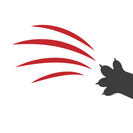 Cat scratch. Red bloody animal claw mark isolated on white background. Lion or tiger flat scratch marks. Black cat foot print. Wild beast paw marks with sharp fissures texture. Vector illustration.のイラスト素材