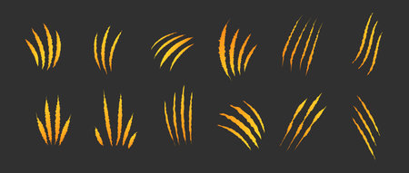Cat scratch. Golden claw scratches set isolated on black background. Dragon, bear or tiger claw marks. Halloween monster paw scratch trace on surface. Flat vector illustrationのイラスト素材