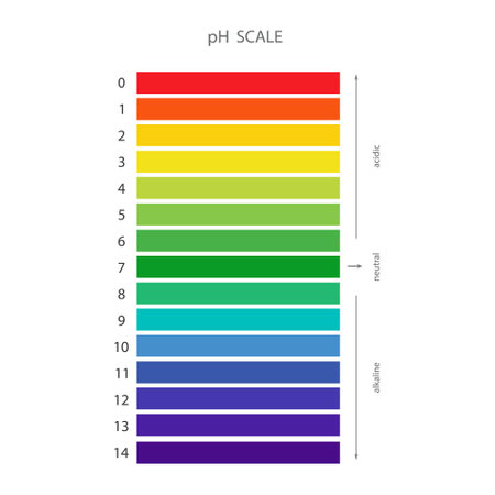 PH Scale. Acid and alkaline indicator. Chemical analysis or test. Education Poster. Vector illustration in flat styleのイラスト素材