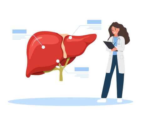 Female doctor diagnosing liver disease in cartoon style. Hepatologist examining internal organ for cancer, cirrhosis or hepatitis. Medical treatment and healthcare flat vector illustrationのイラスト素材