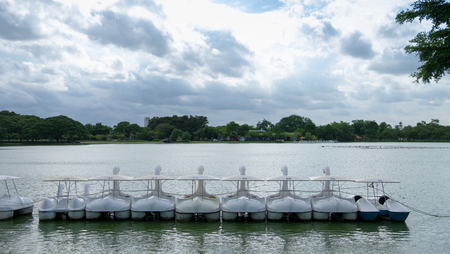 Swan boat park
