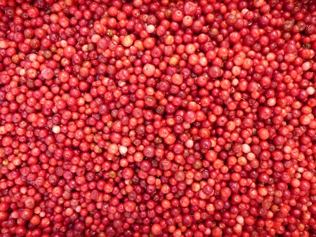 Background -lingonberriesの写真素材