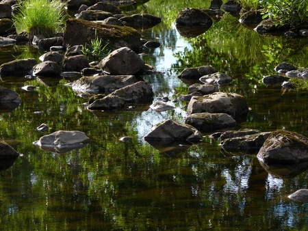 Riverbed with mossy stones and clear water