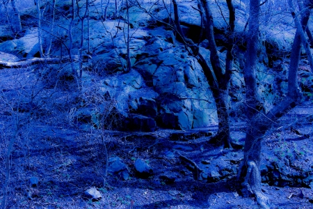 Blue fantasy twilight forestの写真素材