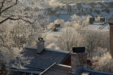 Vitabergsparken on SÃ¶dermalm in Stockholm a frosty sunny cold winter day.のeditorial素材