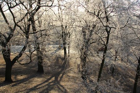 Vitabergsparken on SÃ¶dermalm in Stockholm a frosty sunny cold winter day.のeditorial素材