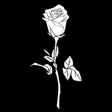 white drawing of a rose on a black background, silhouette of a flower, isolated element, graphics, designのイラスト素材