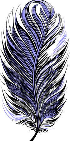 simple graphic drawing black and blue bird feather, sketch, logoのイラスト素材