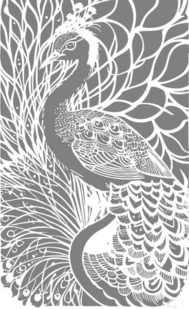 white stylized contour drawing of a peacock on a gray background, monochrome graphics, designのイラスト素材