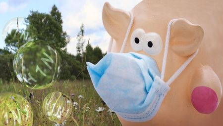 Swine flu. The concept of preventive maintenance of disease.の写真素材