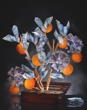 Money Tree. Imagination on a theme of investment. Wisely invested money should bring a good harvest. The image is made from multiple files.の写真素材