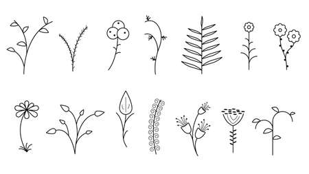 Abstract Set Doodle Elements Hand Drawn Collection Botanic Herbal Flora Leaf Branch Vine Flower Plant Elements F Vector Desgin Styleのイラスト素材