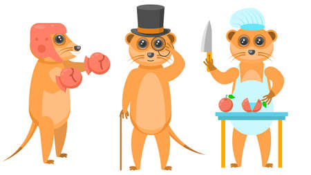 Set Abstract Collection Flat Cartoon Different Animal Meerkats Boxing, In A Top Hat And With A Cane, Chef Cuts Vegetables With A Knife Vector Design Style Elements Fauna Wildlifeのイラスト素材