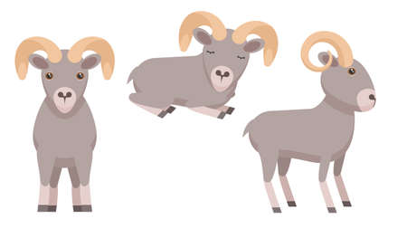 Set Abstract Collection Flat Cartoon Different Animal Arhali Stand, Sleeping Vector Design Style Elements Fauna Wildlifeのイラスト素材