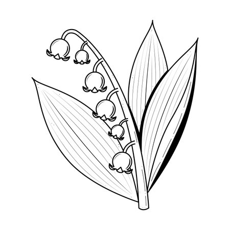 Abstract Hand Drawn Bell Flower Plant Botanic Floral Nature Bloom Doodle Concept Vector Design Outline Style On White Background Isolatedのイラスト素材