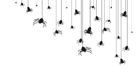 Spiders on Web with white Background. Halloween Background Design Element. Spooky, Scary Horror Decoration Vectorのイラスト素材