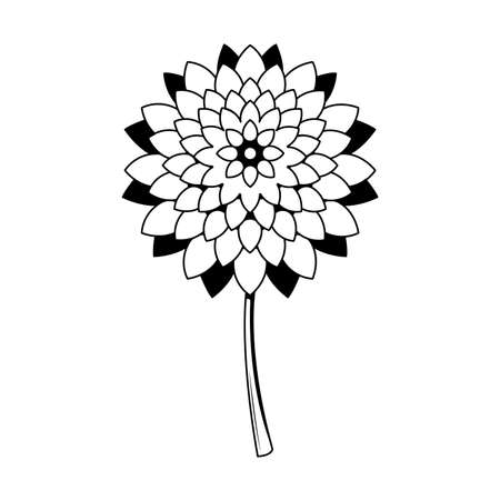 Abstract Hand Drawn Flower Plant Botanic Floral Nature Bloom Doodle Concept Vector Design Outline Style On White Background Isolatedのイラスト素材