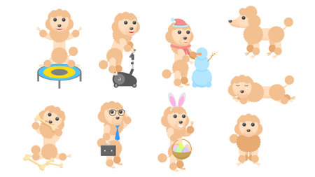 Set Abstract Collection Flat Cartoon Different Animal Pug Dogs Poodles Vector Design Style Elements Fauna Wildlifeのイラスト素材