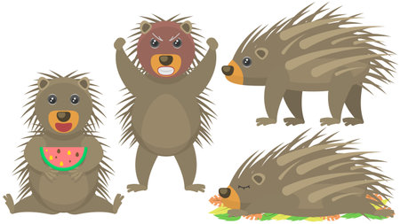 Set Abstract Collection Flat Cartoon Different Animal Porcupine Vector Style Elements Fauna Wildlifeのイラスト素材