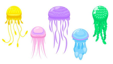 Set Abstract Collection Flat Cartoon Different Color Animal Jellyfish Medusa Marine Water Vector Design Style Elements Fauna Wildlife Isolatedのイラスト素材