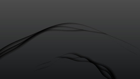 Black Abstract Paper Cut Background Vector Shadows 3D Smooth Objects Modern Designのイラスト素材