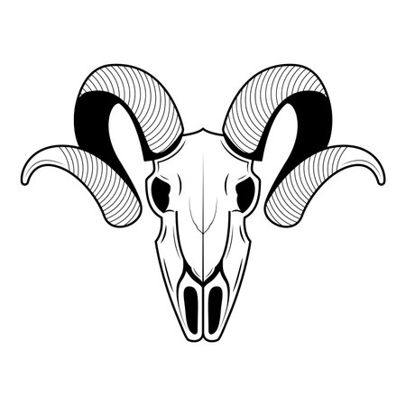 Abstract Black Simple Line Ram Skull Doodle Outline Element Vector Design Style Sketch Isolated On White Background Illustration Bones, Botanic, Skeletonのイラスト素材