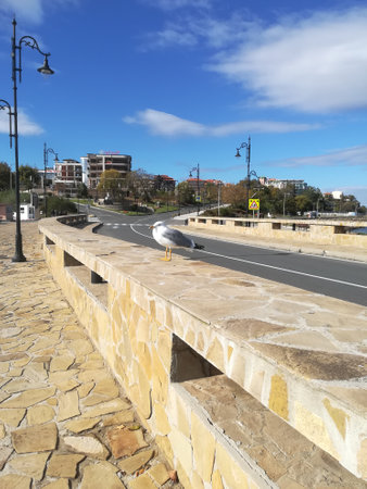 View of the road with a bridge in the city.