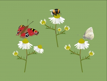 Spring meadowのイラスト素材