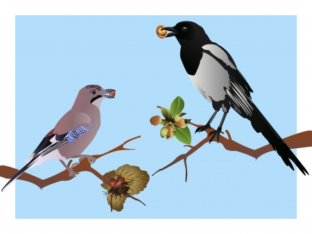 Autumn birdsのイラスト素材