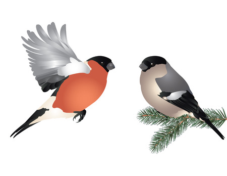 Winter romance of birdsのイラスト素材