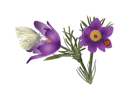 Spring flowersのイラスト素材
