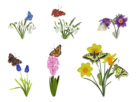 Spring natureのイラスト素材