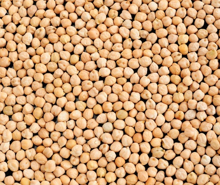 Chick peas (garbanzo beans), fine organic foodの写真素材