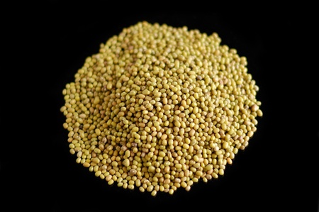 Golden gram against black backgroundの写真素材